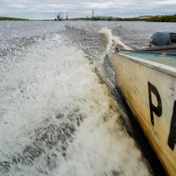 В Ненецком автономном округе выставили на конкурс 17 участков под промышленное рыболовство. Фото пресс-службы регионального департамента природных ресурсов, экологии и АПК