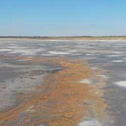 Исследования прошли на соленых озерах Алтайского края. Фото пресс-службы ВНИРО
