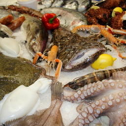 В Минэкономразвития предложили вернуться к обсуждению правил ветеринарно-санитарной экспертизы рыбы