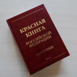Опубликован новый том «Животные» Красной книги РФ. Фото пресс-службы Минприроды