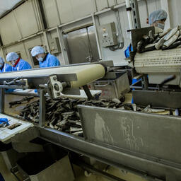 Рабочая подгруппа «Машины и оборудование для рыбоперерабатывающей промышленности» при Минпромторге займется формированием перечня оборудования для приоритетной господдержки