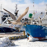 Свежий выпуск журнала «Fishnews – Новости рыболовства» получился «сахалинским»