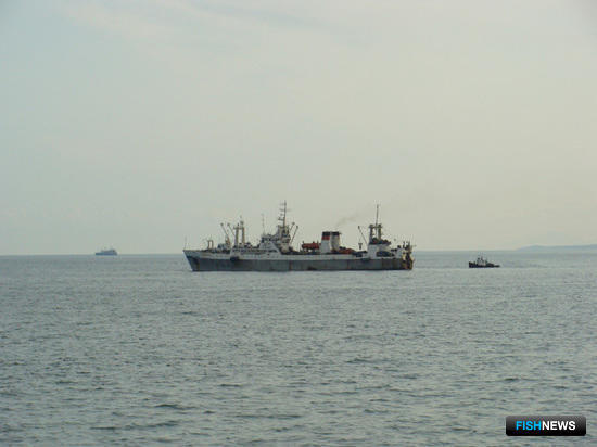 «Рыбная» комиссия РСПП подготовит рекомендации по свободному порту