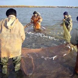 Традиционное рыболовство в Республике Саха (Якутия). Фото с сайта региональной Ассоциации КМНС