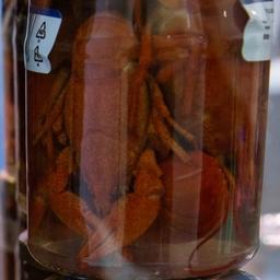 Правительство РФ запретило ввоз из Украины готовых ракообразных, моллюсков и других водных беспозвоночных