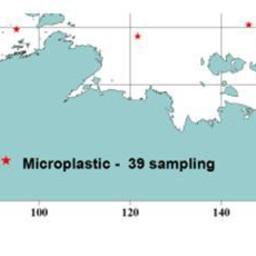 Положение точек отбора проб (красные) и мест обнаружения микропластика (черные) на акватории Арктических морей в августе-сентябре 2019 г. Изображение предоставлено пресс-службой ВНИРО