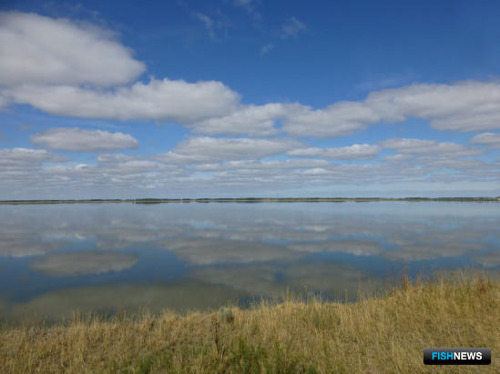 Озеро Горькое. Фото департамента природных ресурсов и охраны окружающей среды Новосибирской области