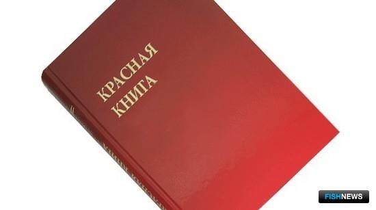 Красная книга. Фото из открытых источников