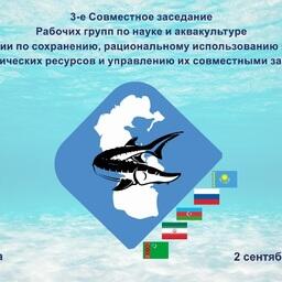 Рабочие группы по науке и по аквакультуре Комиссии по сохранению, рациональному использованию водных биоресурсов Каспийского моря 2 сентября провели совместное заседание в режиме видеоконференции. Изображение предоставлено пресс-службой КаспНИРХ