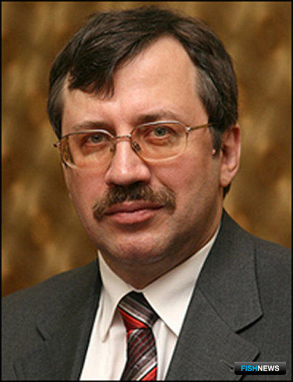Андрей ЦАРИКОВСКИЙ