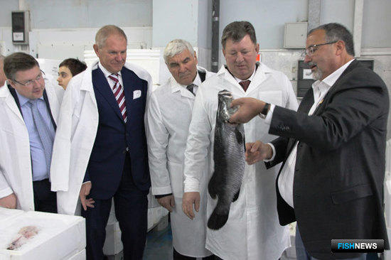 Рабочая встреча руководства Федерального агентства по рыболовству с членами профильных комитетов Государственной Думы и Совета Федерации.