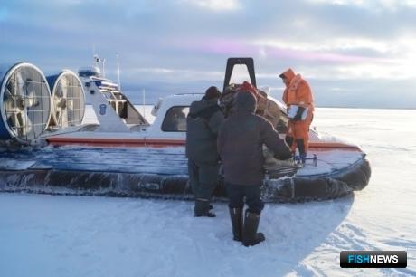 В Ленинградской области спасатели пришли на помощь рыболовам, отрезанным от берега. Фото пресс-службы МЧС России