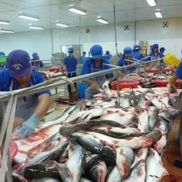 С января по ноябрь экспорт рыбы и морепродуктов из Вьетнама составил 8,1 млрд долларов. Фото Viet Nam News