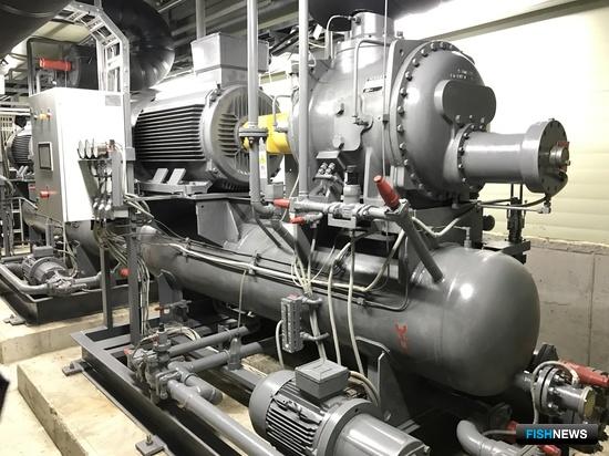 На выставке рыбной индустрии, морепродуктов и технологий в Санкт-Петербурге компания «Колд Трейд» продемонстрирует компрессорный агрегат собственного производства