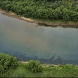Преднерестовые скопления горбуши в реке Тымлат. Фото пресс-службы КамчатНИРО