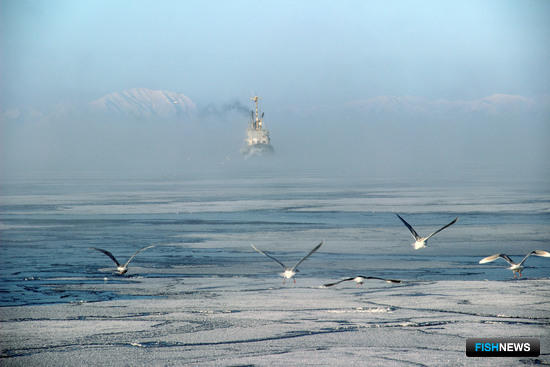 Льды на промысле у берегов Сахалина