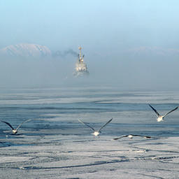 Льды на промысле у берегов Сахалина