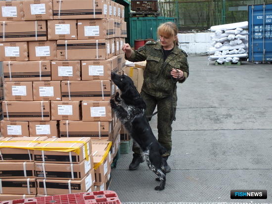 Проверка товара служебной собакой на Первомайском посту Владивостокской таможни