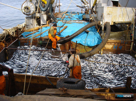 Экспертный совет поддержал предложения «рыбной» комиссии РСПП