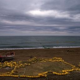 Участки для добычи лосося у берегов Сахалина. В случае принятия поправок на них можно будет выращивать гребешка и трепанга. Фото Анатолия Макоедова