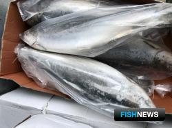 В Оренбургской области утилизировали более тонны лосося, поступившего из Казахстана. Фото пресс-службы Россельхознадзора