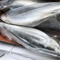 В Оренбургской области утилизировали более тонны лосося, поступившего из Казахстана. Фото пресс-службы Россельхознадзора