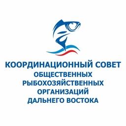 Руководители рыбохозяйственных ассоциаций Дальнего Востока заявляют о своей позиции на площадке координационно совета