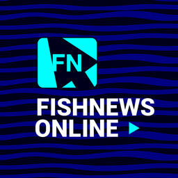 О наважьей путине в Сахалинской области рассказали на конференции Fishnews Online