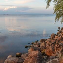 Псковское озеро. Фото из энциклопедии «Вода России»