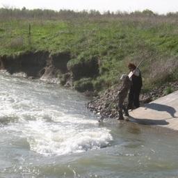 Съемка гидрологических показателей на рыбопропускном канале реки Маныч сотрудниками АзНИИРХ. Фото пресс-службы института