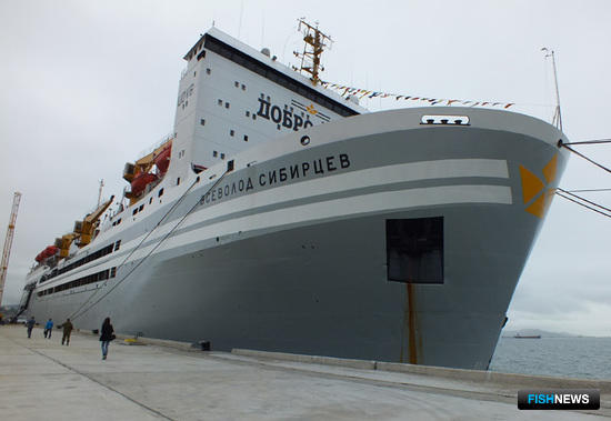 Одна из крупнейших в мире плавбаз – «Всеволод Сибирцев» - прибыла в Находку 12 июля