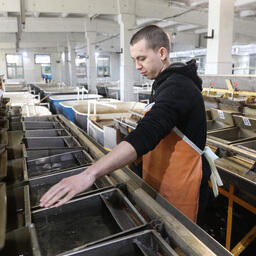На рыбоводном предприятии. Фото пресс-службы правительства Волгоградской области