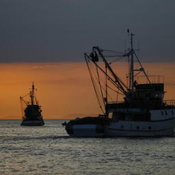 Суда прибрежного рыболовства