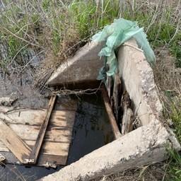 Причиной замора стала кража металлической задвижки воды в дренажной системе. Фото пресс-службы администрации Астраханской области