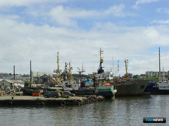 Сахалинская область определилась с поддержкой рыбной отрасли
