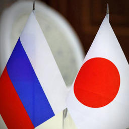 Представители России и Японии обсудили реализацию соглашения по сохранению анадромных рыб в северо-западной части Тихого океана