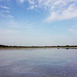 Озеро в Наримановском районе Астраханской области. Фото Олег Маар («Википедия»)