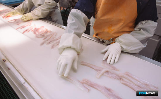 Производство филе минтая на судне Русской рыбопромышленной компании. Фото пресс-службы РРПК