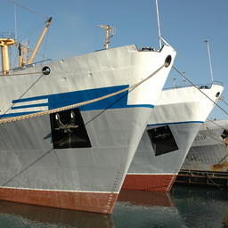Инвестиционный портовый сбора предусмотрен и для рыбацких судов, возвращающихся или убывающих в иностранный порт