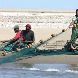 Рыбный промысел в Намибии. Фото из «Википедии»