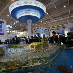 Экспозиционные залы были оформлены аквариумами с объектами марикультуры