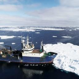 «Волк Арктики» в море Росса. Фото пресс-службы АзНИИРХ