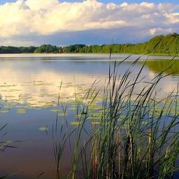 Косминское озеро. Фото пресс-службы правительства Республики Коми