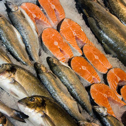 Участники рынка беспокоятся за судьбу поставок лосося из Норвегии