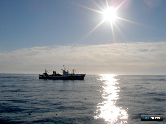 К середине июня во всех районах промысла рыбаки добыли более 2,172 млн тонн. 