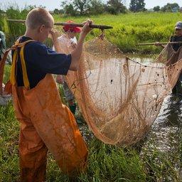 Школьники из «Голубого патруля» спасают молодь ценных рыб. Фото регионального министерства сельского хозяйства и рыбной промышленности