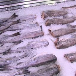 Акция охватила самые популярные виды рыбы и морепродуктов. Фото пресс-службы правительства Камчатки