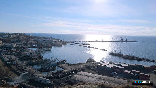 Для Дальнего Востока готовят новые свободные порты
