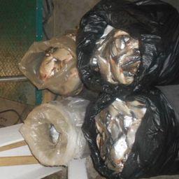На МАПП «Донецк» выявили более 100 кг незадекларированной густеры. Фото пресс-службы Ростовской таможни
