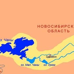 Карта озера Чаны, на котором расположен самый большой участок. Иллюстрация А. В. Сафонова («Википедия»)